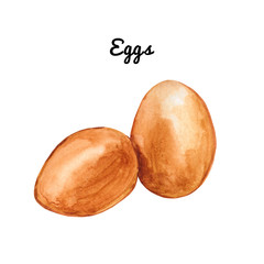 Watercolor two  raw eggs illustration isolated on white background