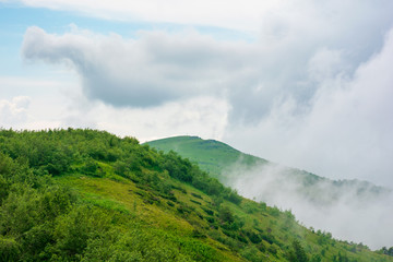 Fototapeta na wymiar alpine meadows of mnt. runa, ukraine. beautiful nature scenery of carpathian mountains in summer. cloudy weather
