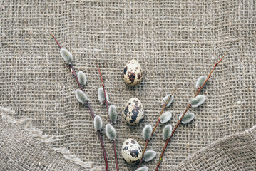 Quail eggs with willow branches on a background of rough canvas. Easter composition