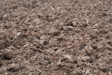Arid land without water from global warming
