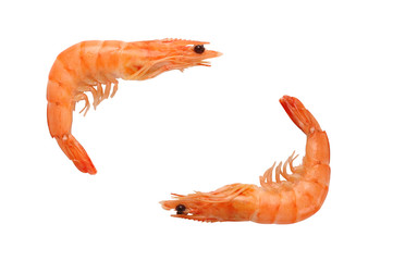 Pair of prawns isolated on white background