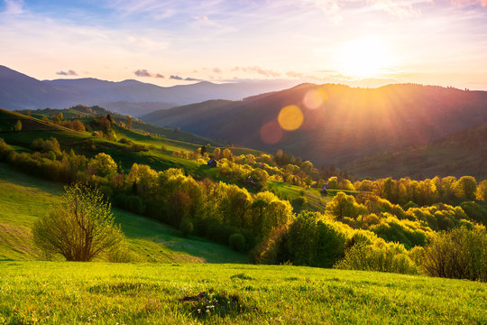 countryside scenery in mountains at sunset. beautiful landscape of carpathians with meadows rolling through forested hills in evening light. wonderful weather in springtime