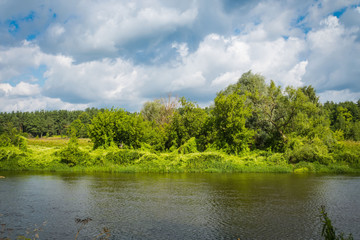 Summer rural river landscape