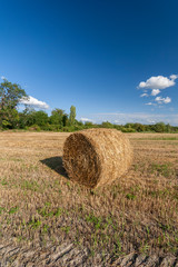Agriculture field with hay bales and blue sky © skovalsky