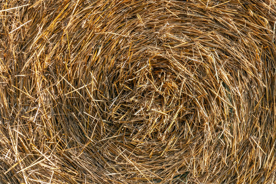 Close up shot of a hay bale
