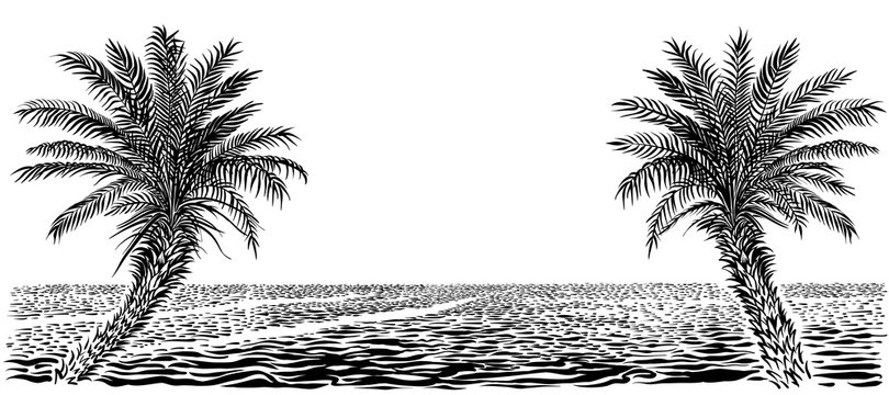 Ocean or sea beach with palms, panoramic vector view.