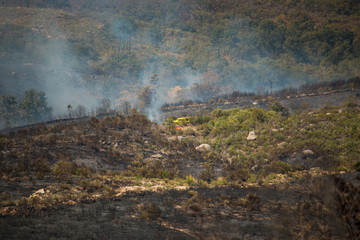Obraz na płótnie Canvas Feuerwehr beim Bekämpfen eines Waldbrandes in Portugal im Sommer 2017