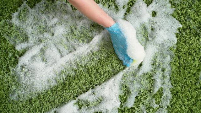 Wet cleaning. Hands with sponge in the gloves washing carpet with detergent.