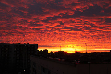 red and orange sunset above house buildings
