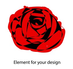Red rose is careless. Vector illustration isolated on a white background.