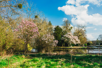 Domaine des r&eacute;aux, friches