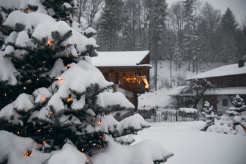 Heavy Snow On Pine Tree Cozy Forest Cabin In The Back Mountain Vacation