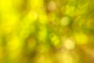 blurred green forest background concept copy space wallpaper 