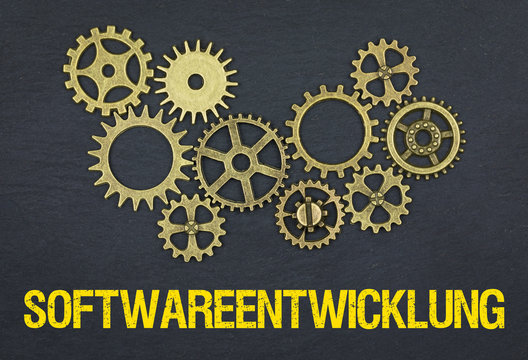 Softwareentwicklung 