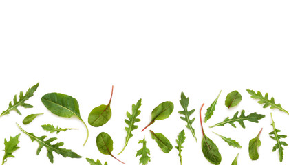 Banner of fresh salad, chard, arugula, mizuna, top view isolated on a white background with place...