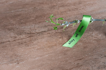 The inscription stay home and a branch with leaves