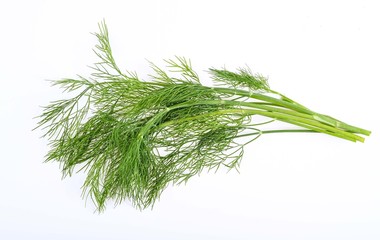 Fresh dill  isolated on white background.