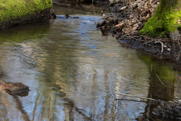 Kleiner Bach in der Natur
