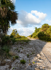 Fototapeta premium Florida State Park