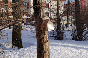 sparrow protrudes from the feeder. City Park.