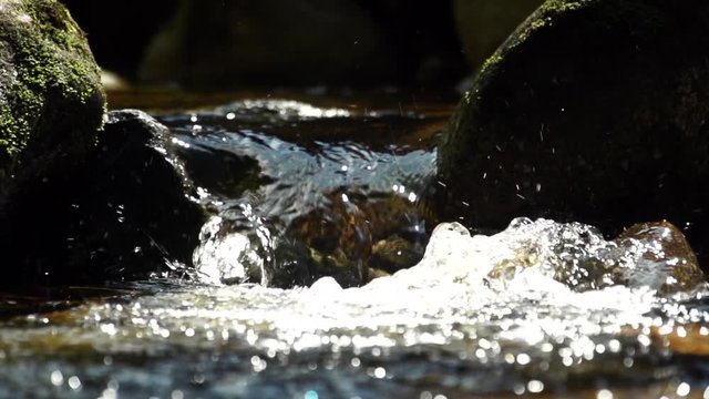 water and moos covered rock ins a river