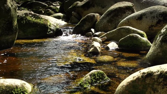 water and moos covered rock ins a river