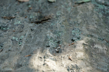 cool rocks in nature 