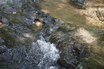 Fototapeta premium small rapid white water