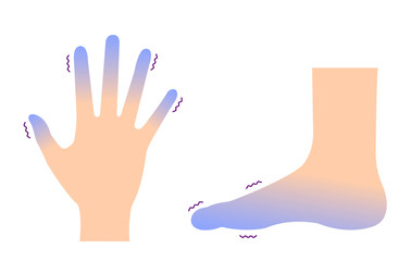 Cold hand and foot / blood circulation illustration (sensitivity to cold )