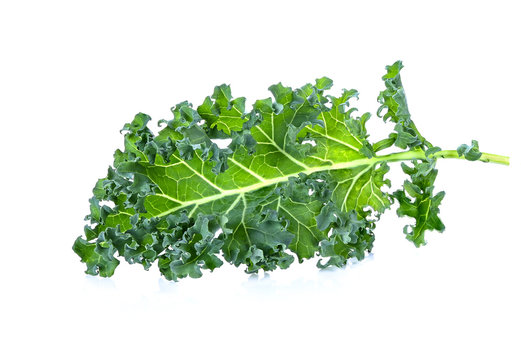 Fresh organic green kale leaves isolated on white background.
