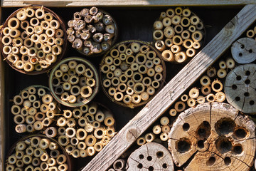 Close up of an insect hotel with some animals living in it