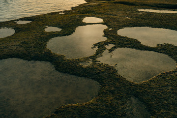 Beautiful green moss on stones near the sea