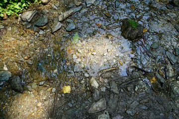 pebbles and rocks along a shallow stream. 