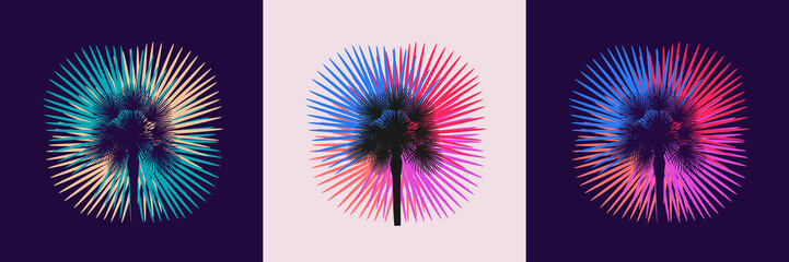 Silhouette of a palm tree on various backgrounds. Set of tropical summer vector templates