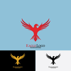 Obraz premium Falcon Eagle Bird Logo Template Vector Icon
