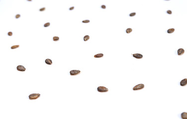 Watermelon seeds on a white background.