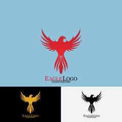 Obraz premium Falcon Eagle Bird Logo Template Vector Icon