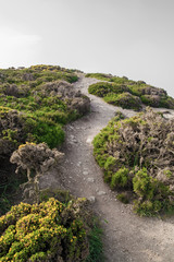 Walking On Path In The Mountain / Hill Top Cliff Walk Vegetation Bushes Flowers In Spring
