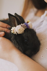  Easter bunny in a wreath of flowers on the hands of a girl