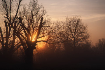 Naklejka premium Sonnenaufgang