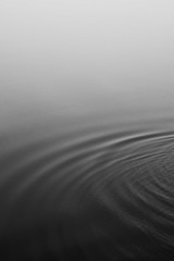 Naklejka na ściany i meble Ripples in water black and white sea photography calm water surface tranquil serene ocean water foggy sea
