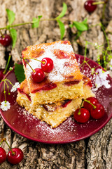 Tart Cherry Cake with Powdered Sugar. Selective focus.