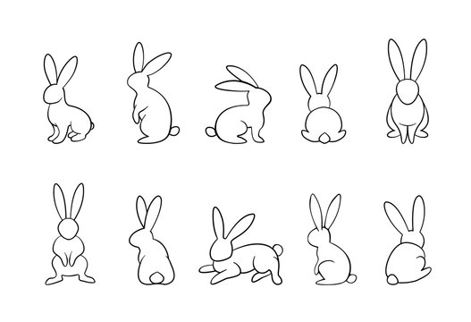 bunny outline  set, rabbits in different position collection, monochrome, easter, line art, outline, isolated on white background