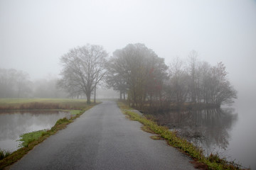 A empty country road winds between two lakes in an early springtime fog. Concept of travel, mystery, exploration.