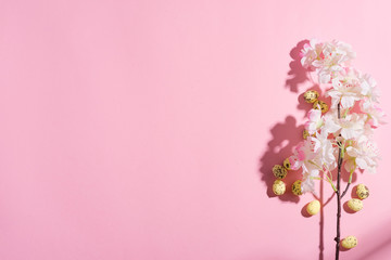 Easter festive composition from quail eggs and cherries branch on a pink background.