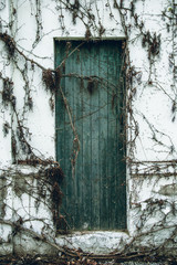 Winter sea mood in the Riviera Romagnola region of Italy. Wooden door of emptu beach house covering with ivy and vegetation. Desolation.