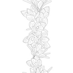Monochrome Seamless brush with hand drawn crocus flowers. Isolated on white background. Floral endless border. Vector illustration