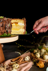 A piece of cake on a dessert spatula, a cake with taste and a layer of mancgo and trurozha cream.