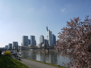 Frankfurt