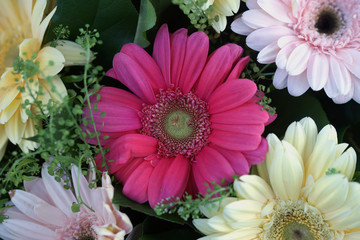 Beautiful bouquet with multi-colored large gerberas